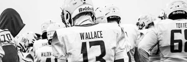 meerwallace Profile Banner