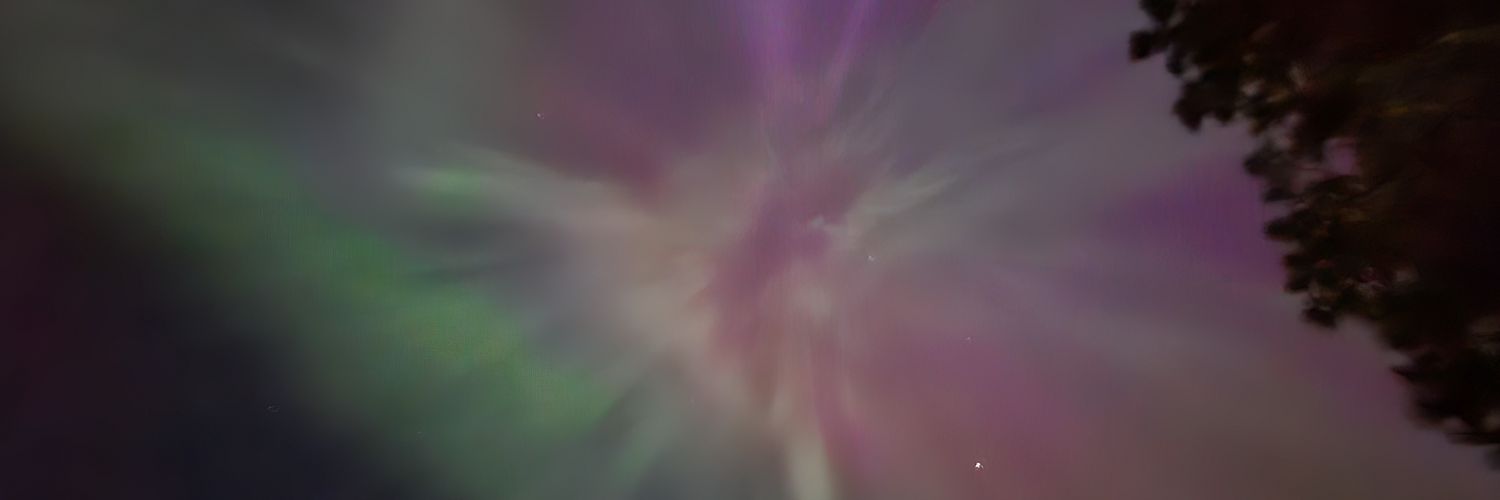 VanessaRex12's profile banner image