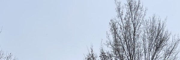 11around Profile Banner