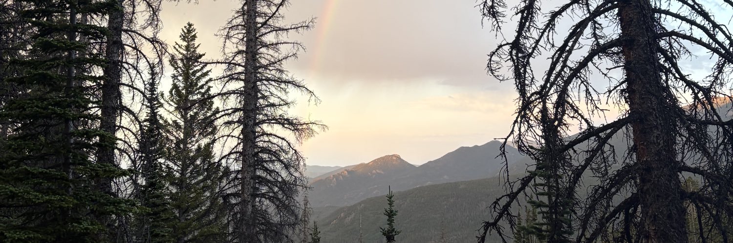 Anafaak's profile banner image