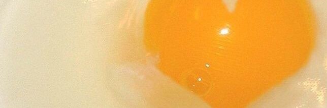 🥛 banner