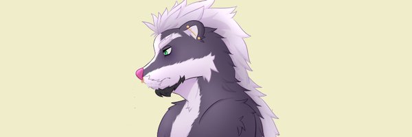 fujsan13 Profile Banner