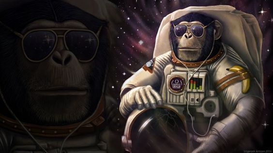 brand0_6____'s profile banner image