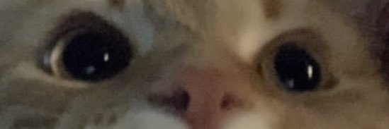 lllllll's banner