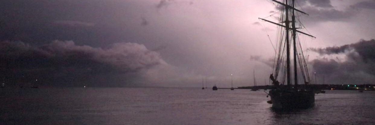 fringe dweller banner