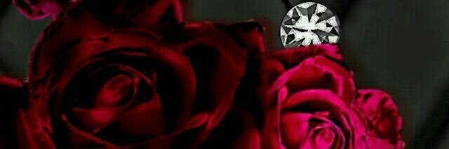 PlussizeBoss's profile banner image