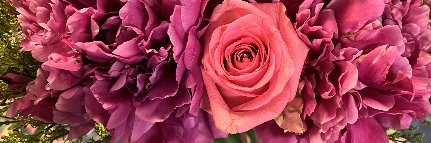 ClaraTSch's profile banner image