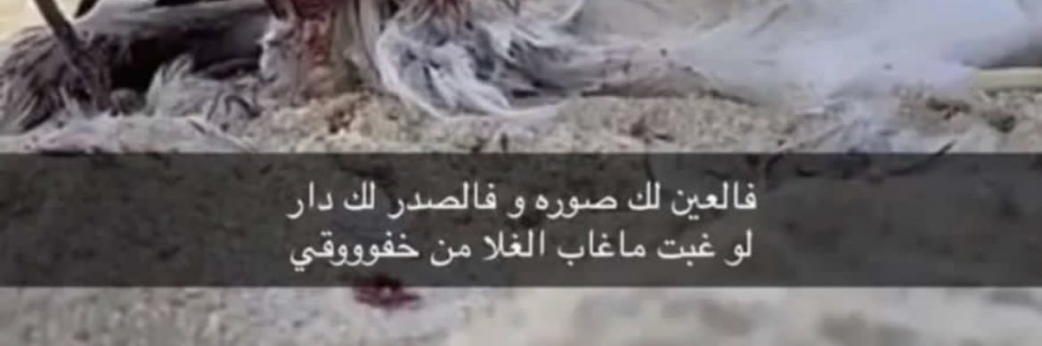 متذوق شعـر 🌹 banner