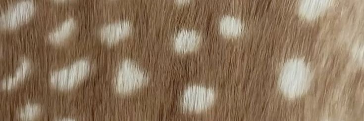 l0yr4's profile banner image