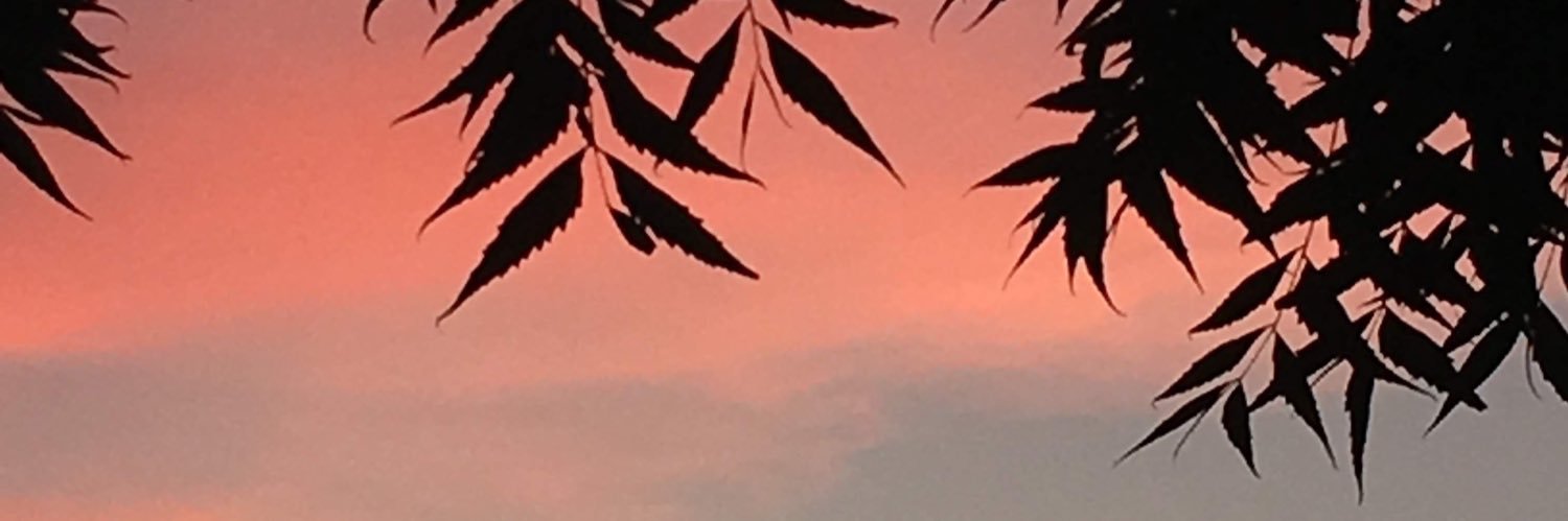 Sripriya_B's profile banner image