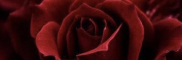 MelissaRocks77 Profile Banner