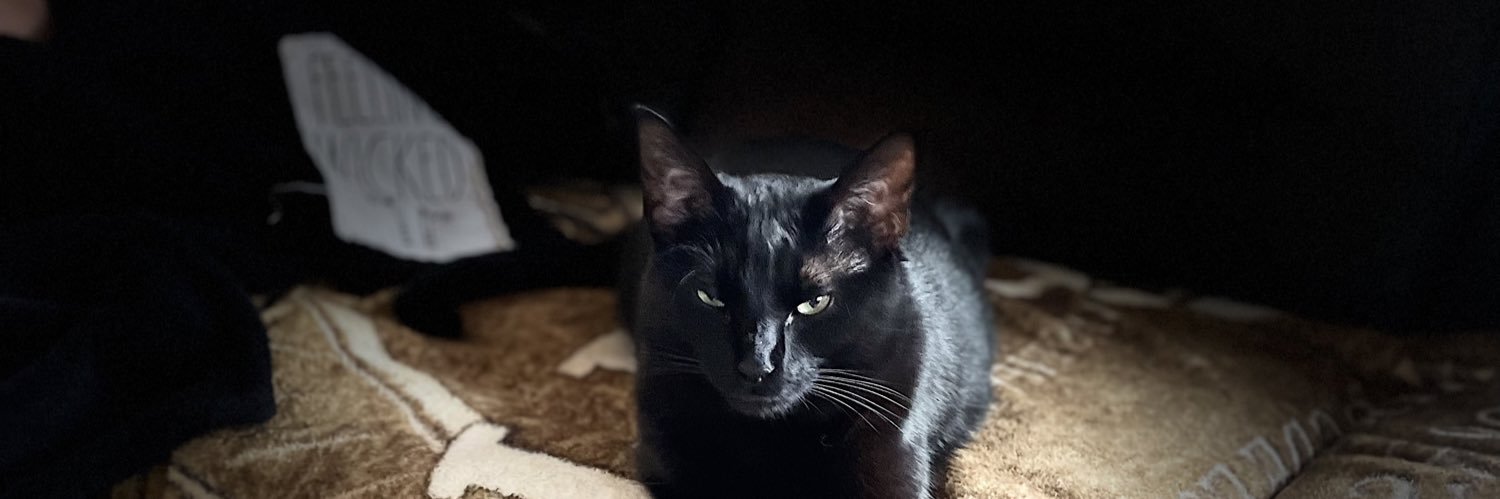 hexen_mo0n's profile banner image