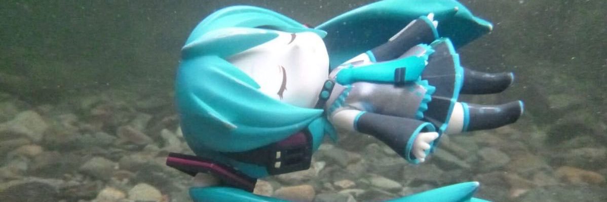 aliiiueoo's profile banner image