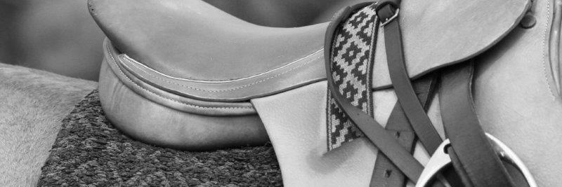 GILL_POLO_CZECH's profile banner image