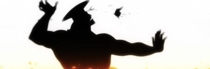 Monkey D Sley banner