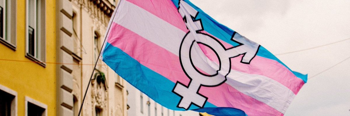 Amber 🏳️‍⚧️🏳️‍🌈♿ banner