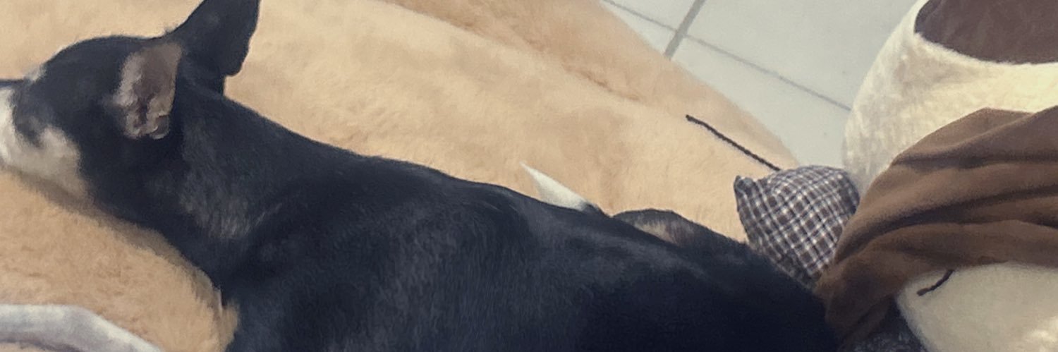 Conchitaragons2's profile banner image