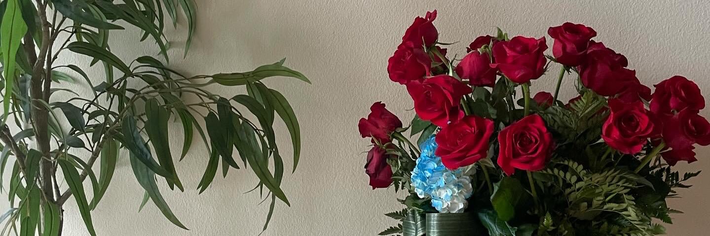 celena • suh len ah banner