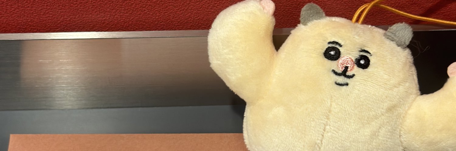 🇨‌🇭‌🇮‌🇸‌🇦 🇵🇴🇳 banner