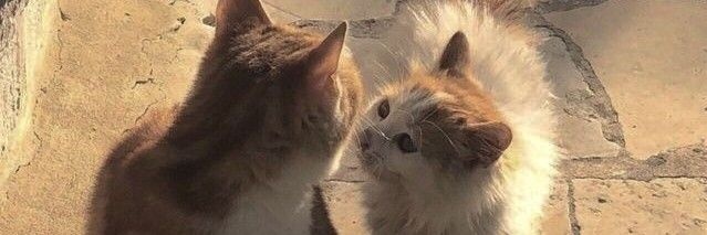 Bagi_masc's profile banner image