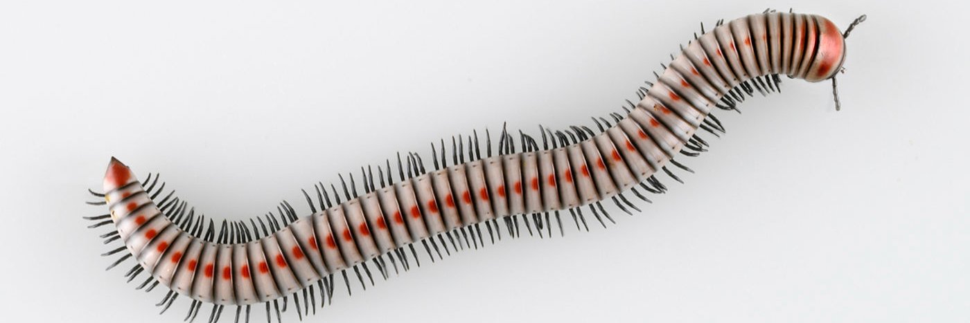 Jessica Lewinsky banner