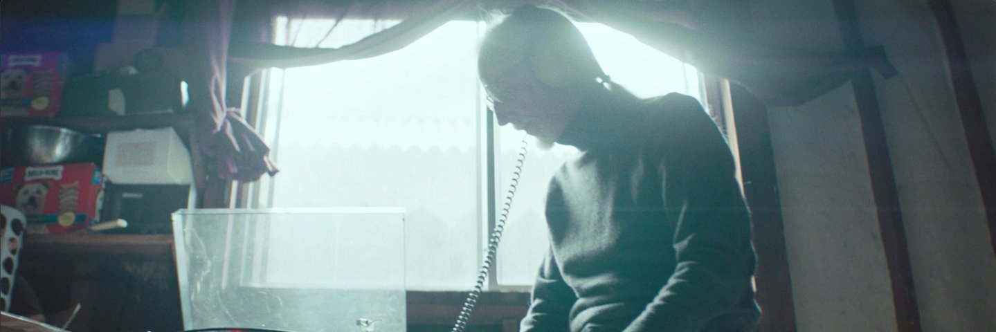 leopfeifer's profile banner image