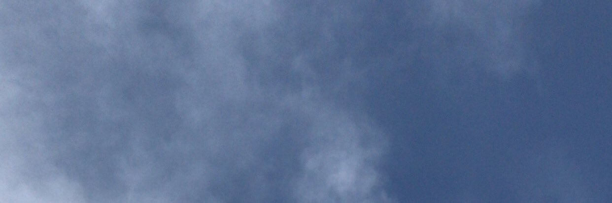 nnJ banner