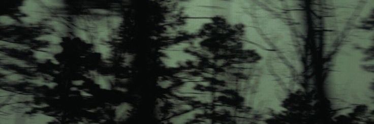 luisa banner