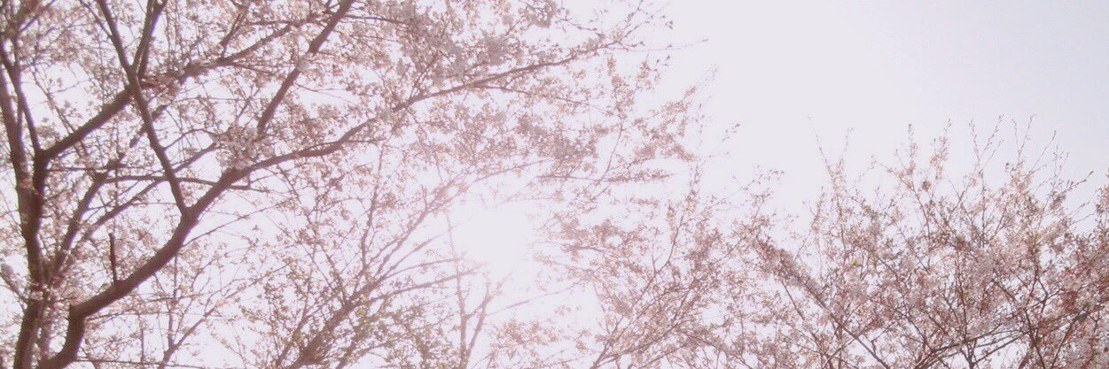 ____sakura39's profile banner image