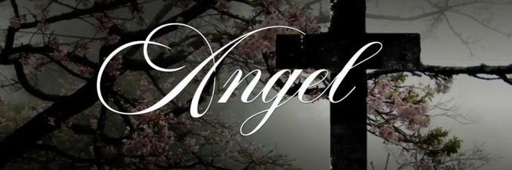 Sh banner
