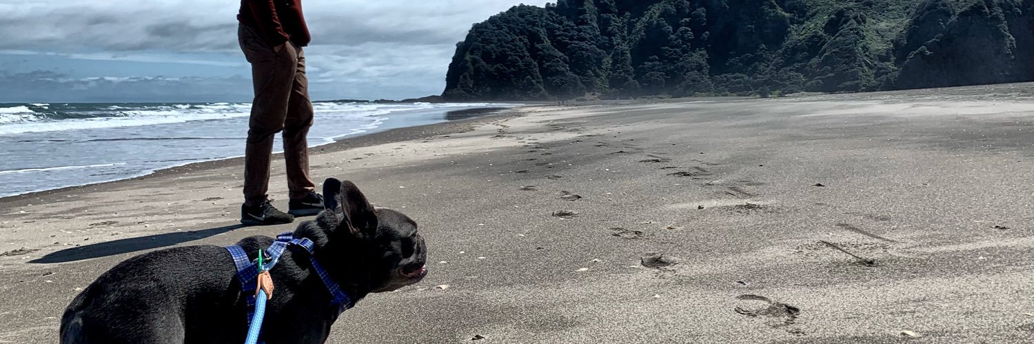 Myrddin Gwynedd (MG) 🏴󠁧󠁢󠁷󠁬󠁳󠁿🇳🇿 banner