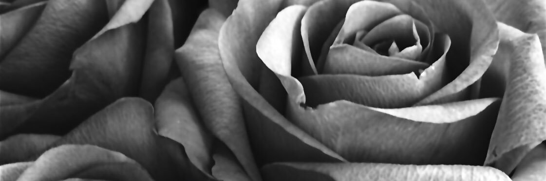 yamiroxx's profile banner image