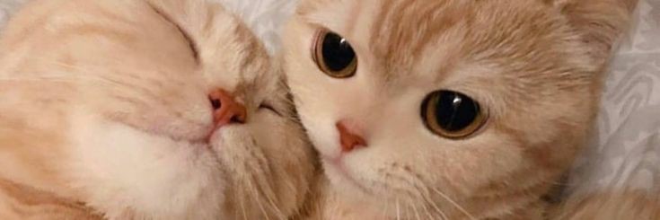 skytrsr_'s profile banner image