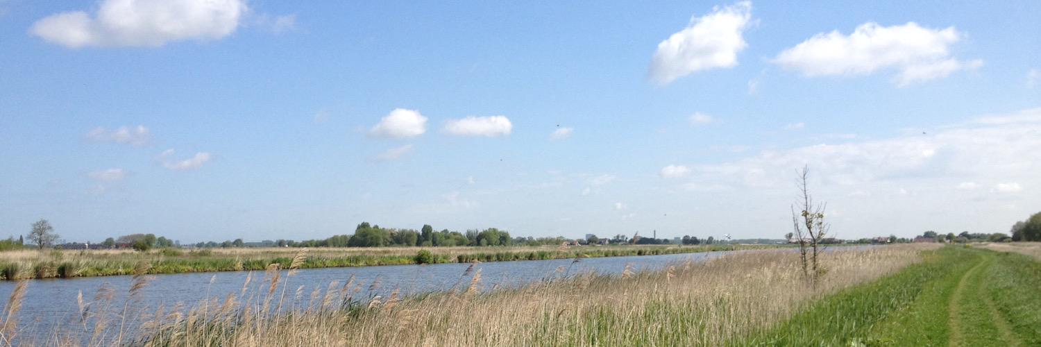 Jacqueline Wijker banner