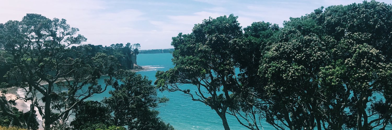 codyokay's profile banner image