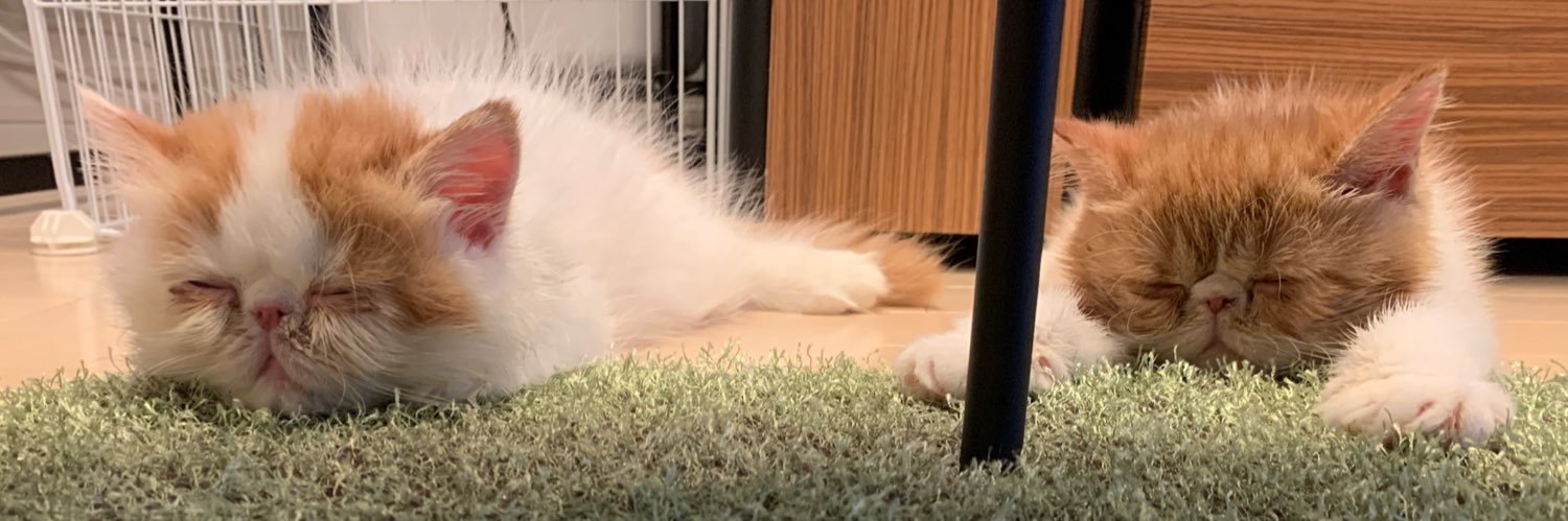 nicecream03's profile banner image