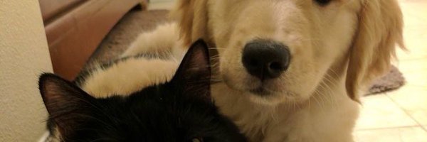 ocean143SH Profile Banner