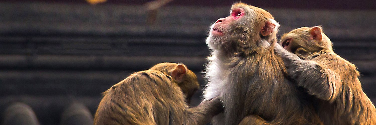 Monkey King’s Hometown - Lianyungang banner