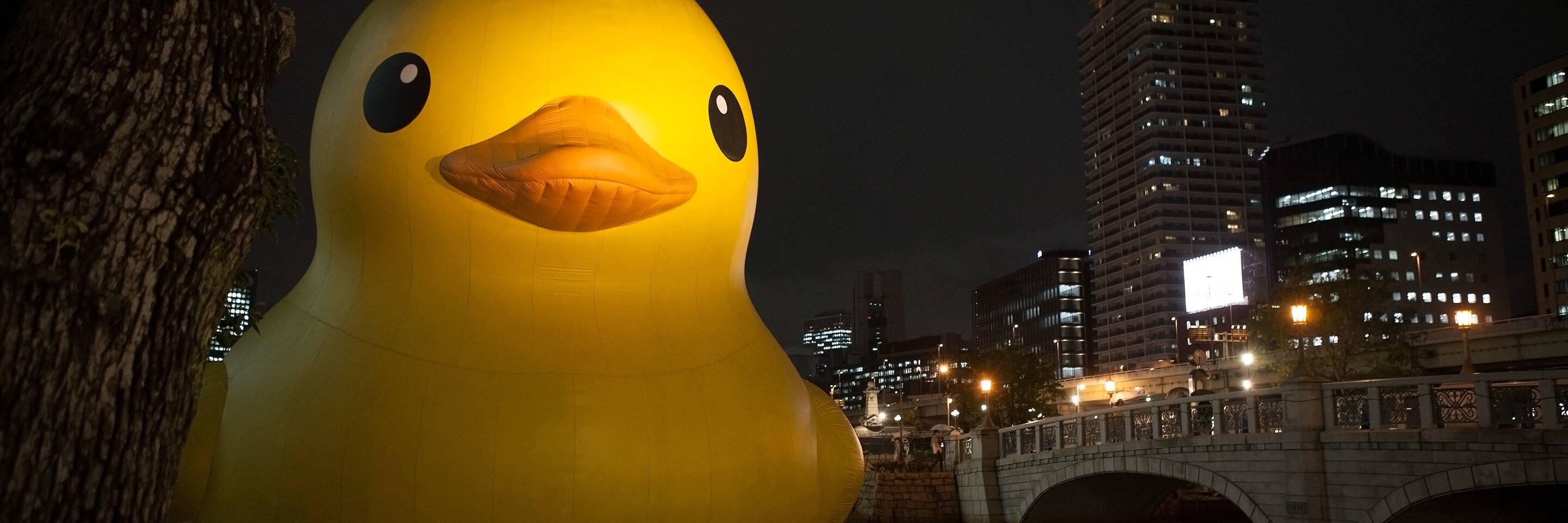 waterlou's profile banner image