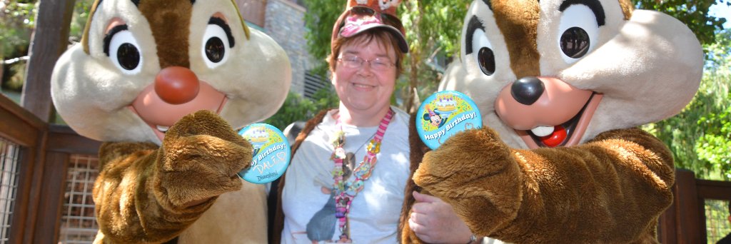 DisneyVala's profile banner image