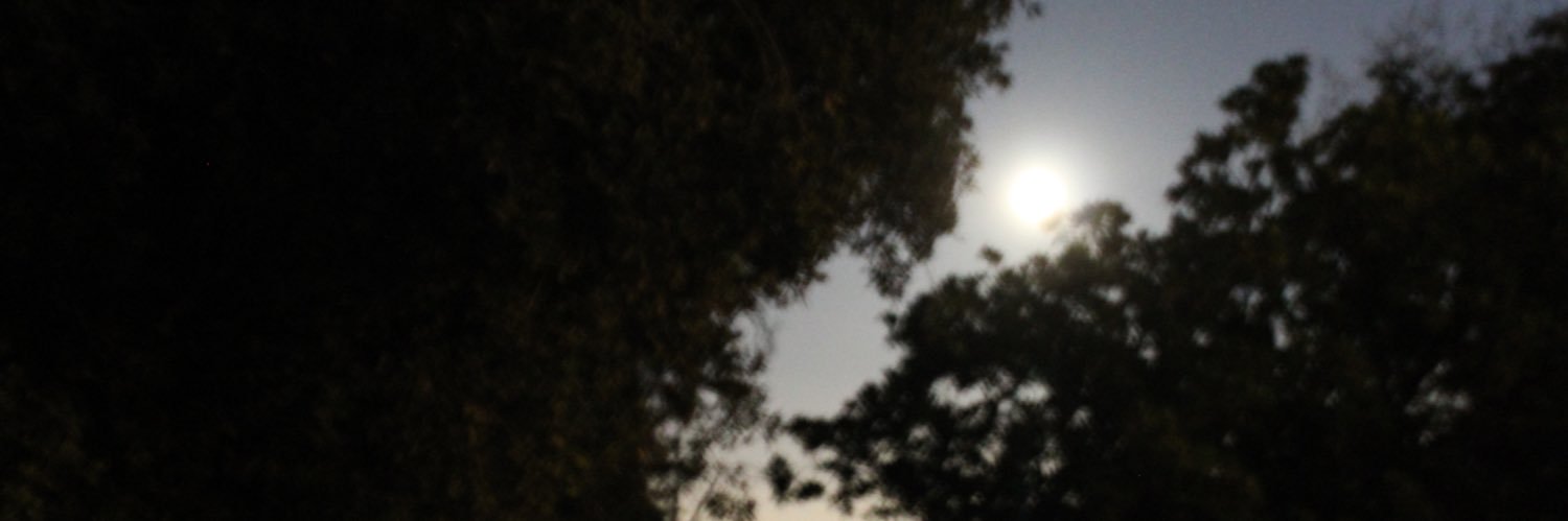 e__mendoza's profile banner image