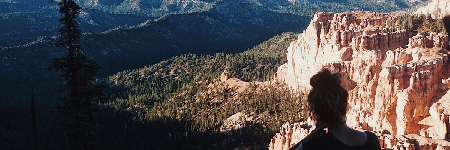 SofieCoens's profile banner image