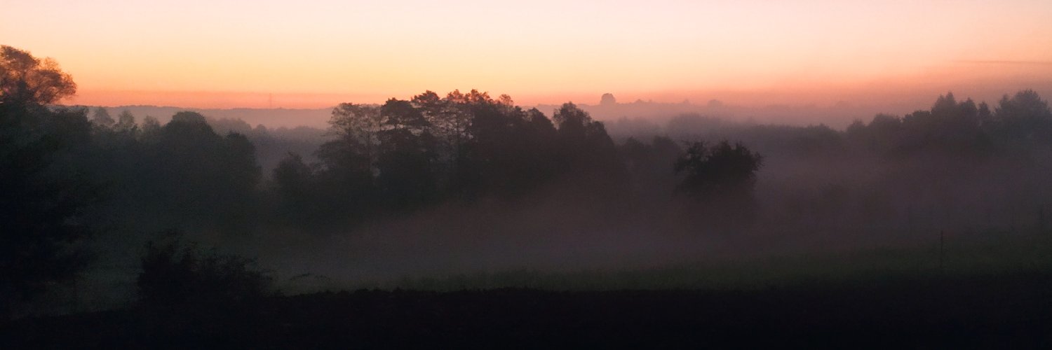 domainer.algo 🍊🍊🍊🍊 banner