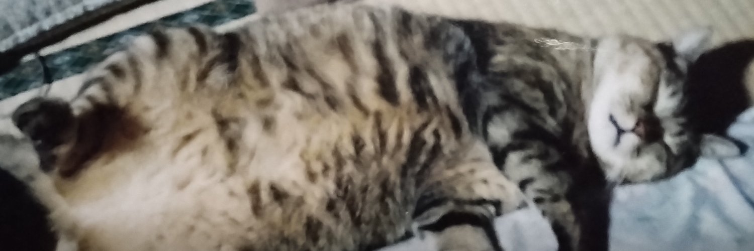 PEEKABOOBO's profile banner image