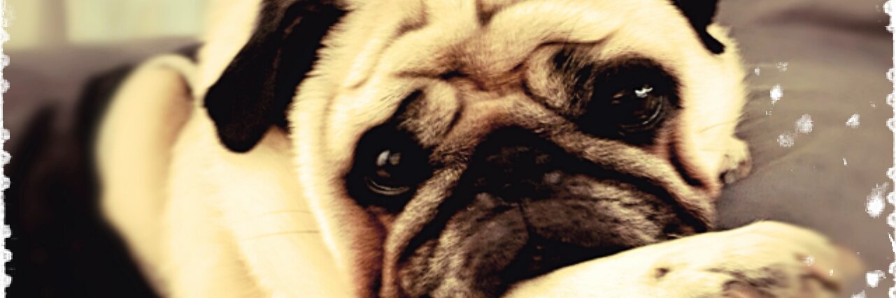 cotahouse_'s profile banner image