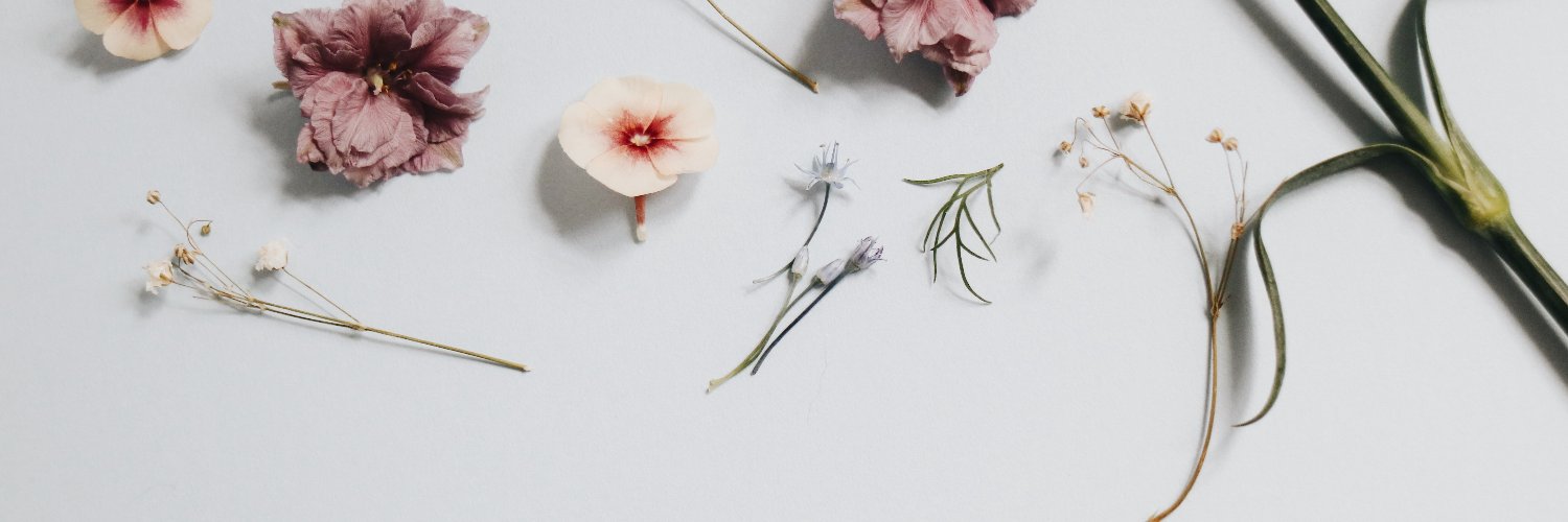 biibiicream's profile banner image