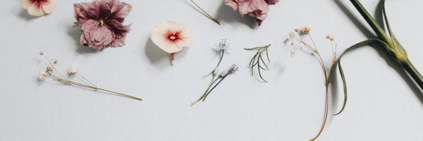 biibiicream Profile Banner