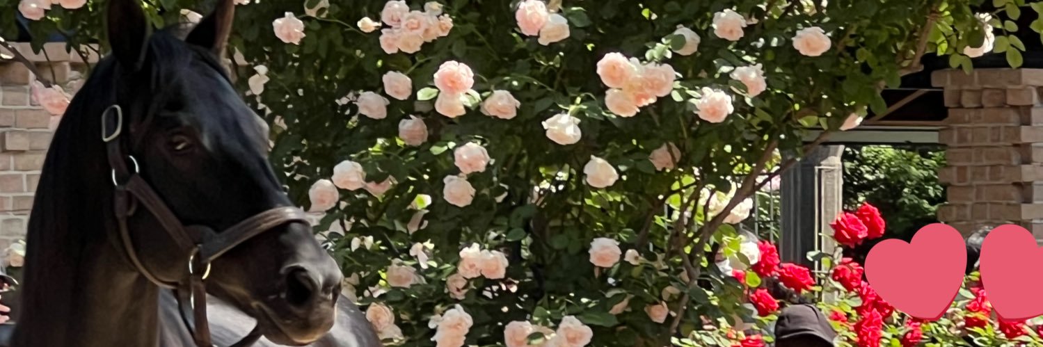 meltymocha_'s profile banner image