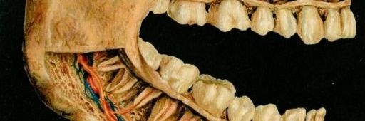 ServetAkann's profile banner image