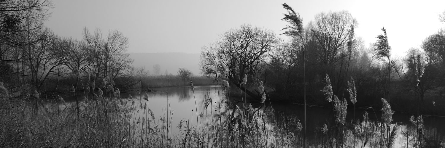 SebCH76's profile banner image